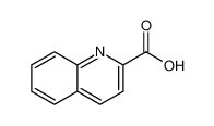 喹哪啶酸 